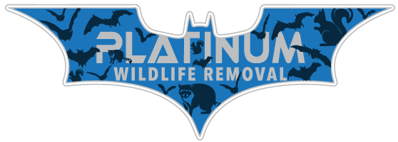 Pestway Wildlife Removal