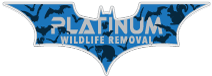 Platinum Wildlife Removal
