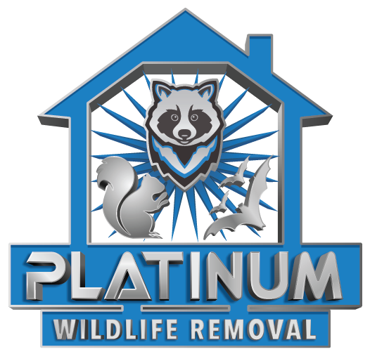 Platinum Wildlife Services