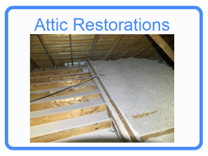 Attic Restorations Michigan