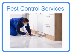 Pest Control Michigan