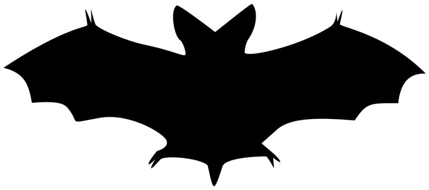 Bat Control Michigan
